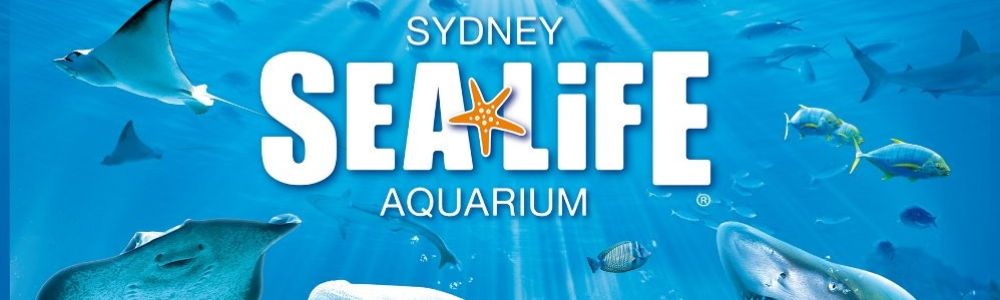 Sealife Sydney_1